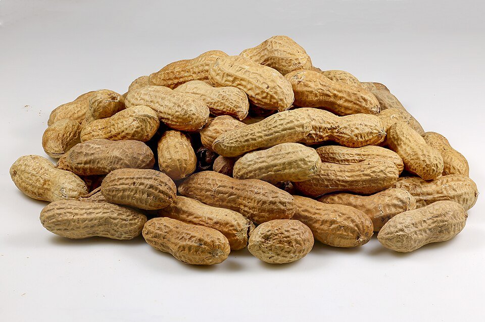 Masala Roasted Peanuts (200g)